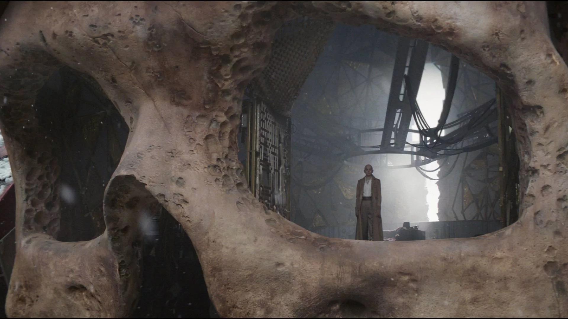 Cassandra Nova w bazie