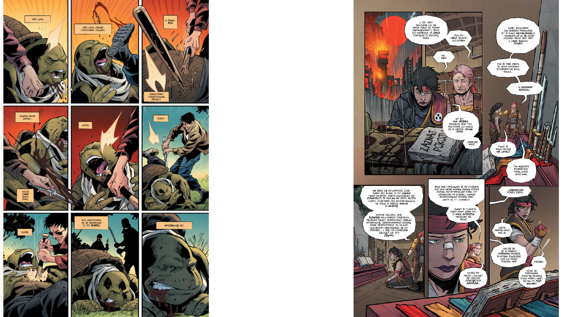 Ostatni Ronin: Nieznane lata